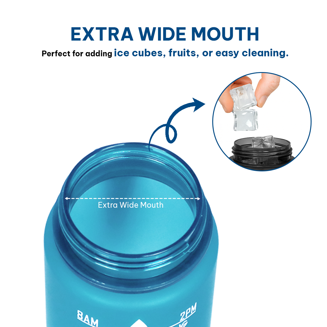 2 Litres / Blue Fuchsia