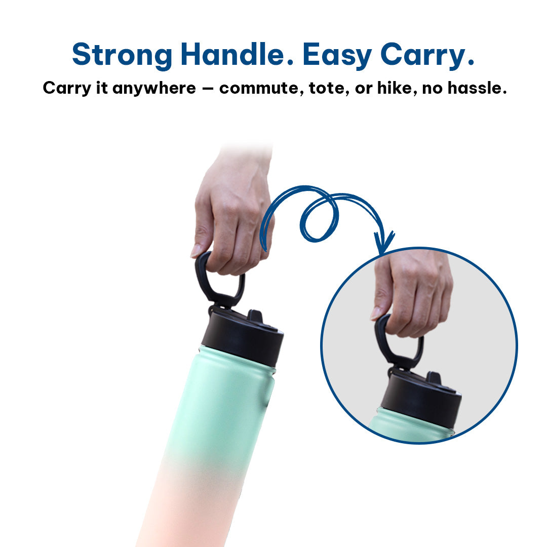 650 ML / Pink Teal