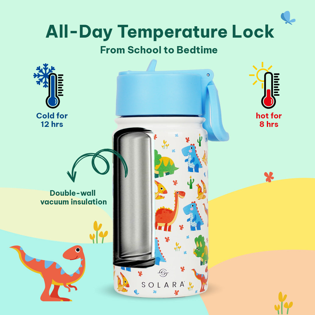 Dino / Lunch Box + Kids Water Bottle