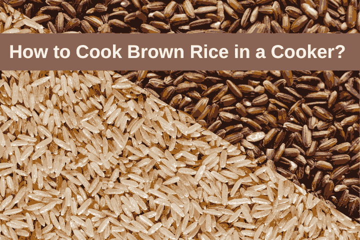 How to Cook Brown Rice in a Cooker? | Solara Home