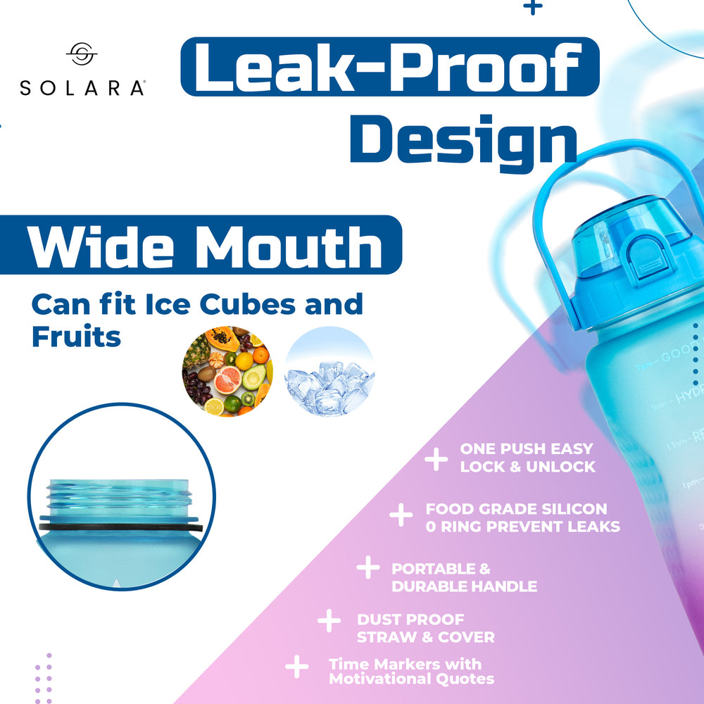 2 Litres / Blue Fuchsia