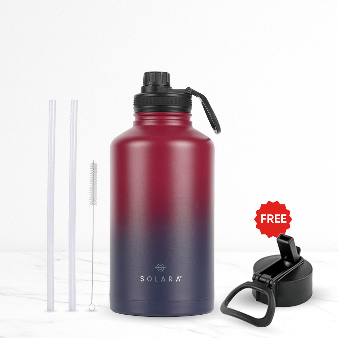 2 LTR / Dark Intentions