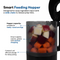 Cold Press Juicer