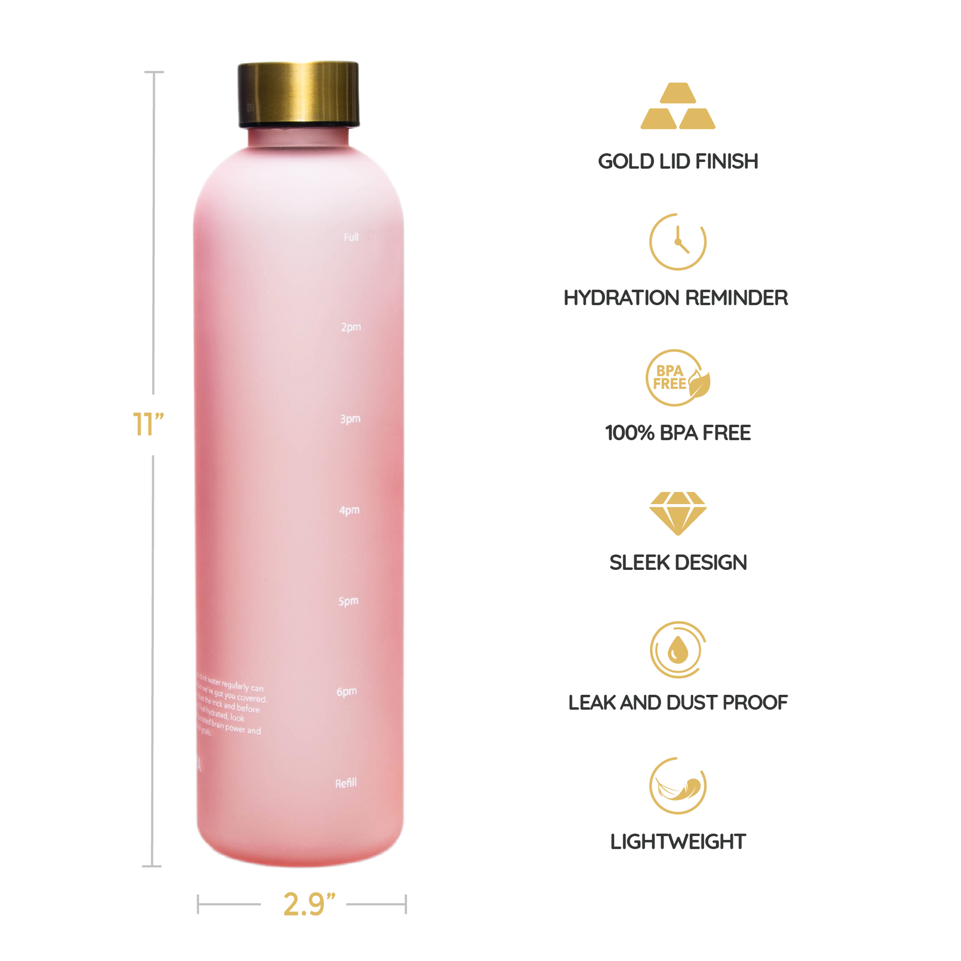 Buy Fashion Water Bottle online